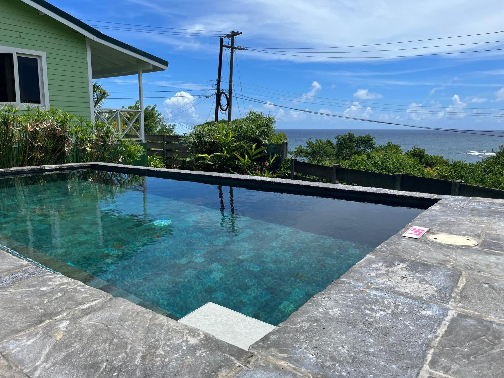 Studio Blu At Waves Villa Guesthouse Brighton Village 外观 照片